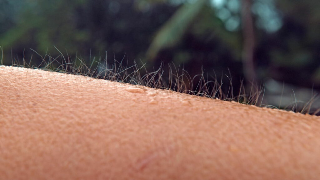 Arrepios sem frio ou medo podem revelar algo sobre sua saúde