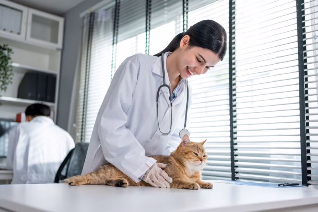 5 dicas para vacinar seu pet sem comprometer o orçamento