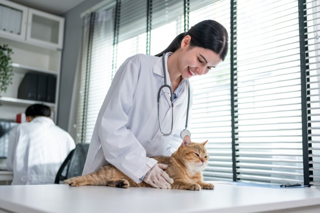 5 dicas para vacinar seu pet sem comprometer o orçamento