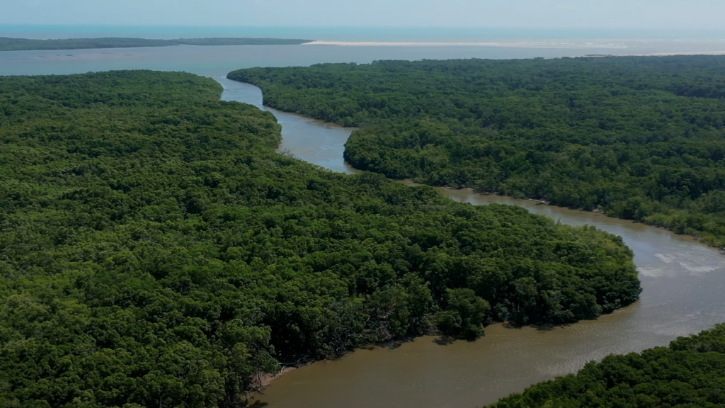 Piauí abriga terceiro maior delta do planeta Terra