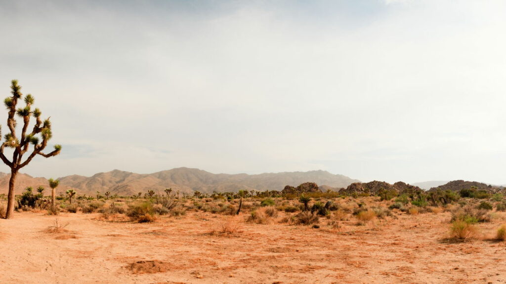Como funcionam as miragens no deserto — e por que elas enganam até viajantes experientes