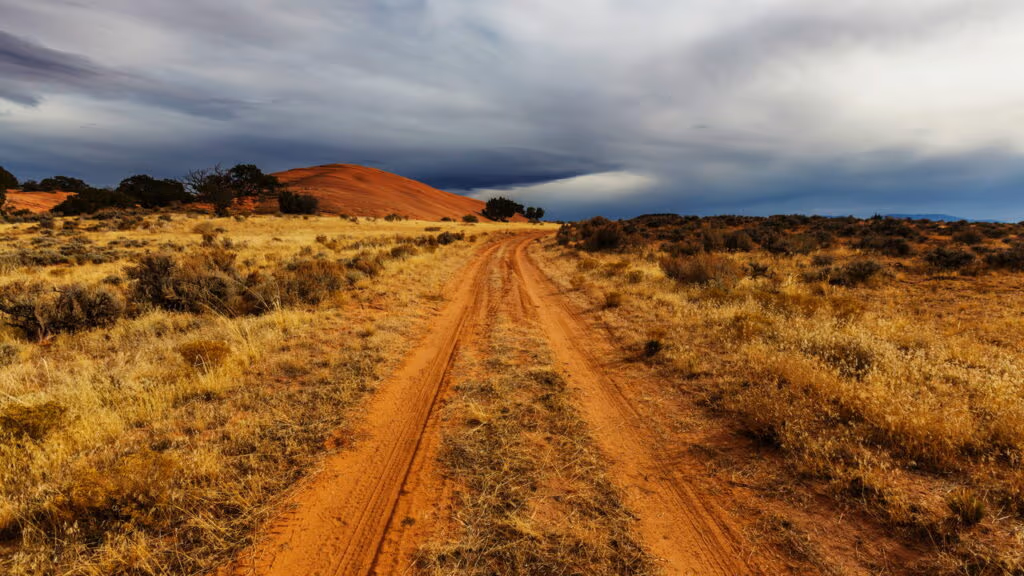 O que faz alguns desertos florescerem da noite para o dia após uma chuva rara?