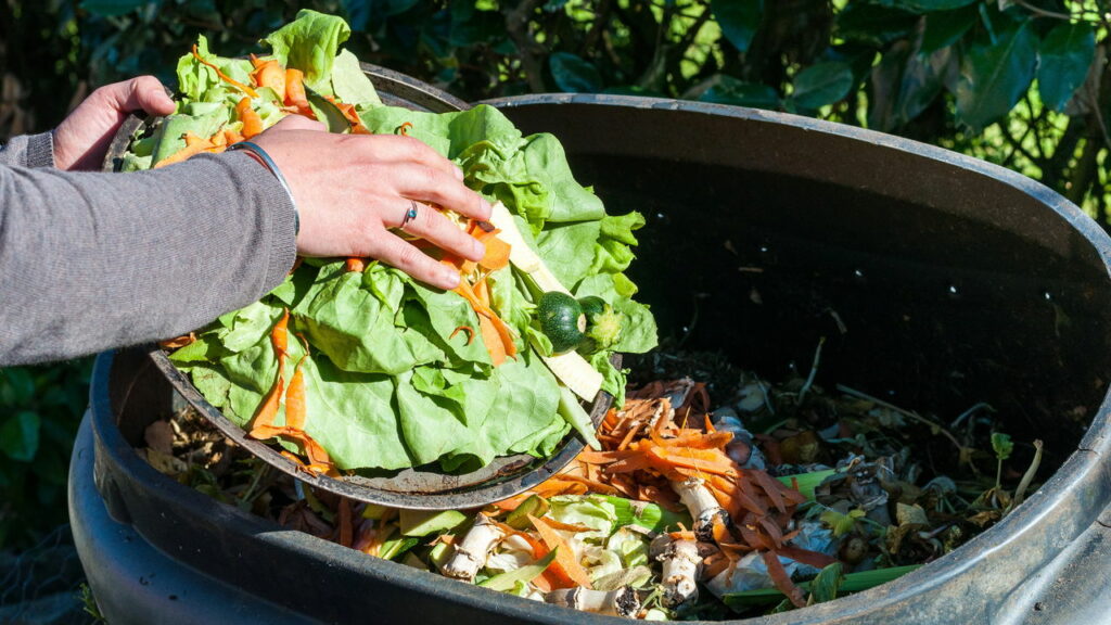 6 truques simples para reduzir o desperdício de comida em casa
