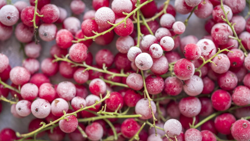 Como congelar frutas e verduras sem perder sabor e textura