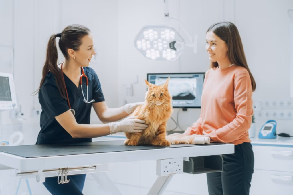 8 dicas para escolher o melhor veterinário para o seu pet 