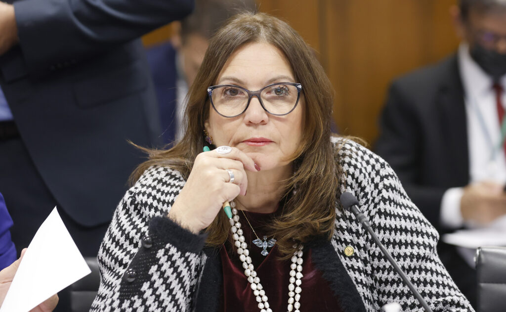 Bia Kicis critica “núcleo de inteligência” ligado ao PT e fala em censura digital