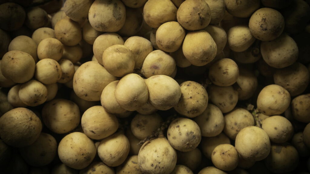 A fruta mais exclusiva que tem sabor de manga e abacaxi surpreende no paladar