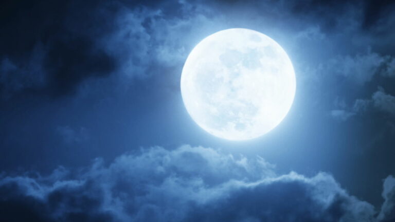 Imagem Item