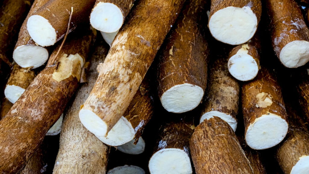 5 receitas com mandioca que vão além do trivial
