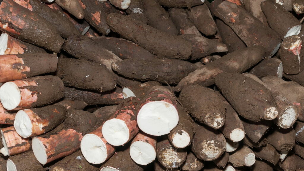 Este alimento popular tem um benefício escondido que poucos conhecem