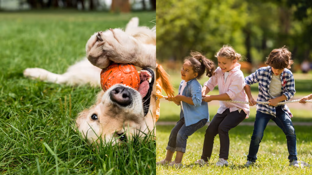 Os nomes de pets que mais viraram nomes de bebê nos últimos anos