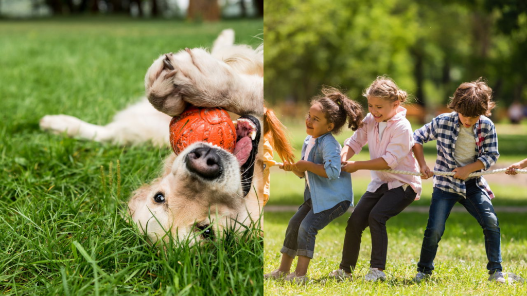 Os nomes de pets que mais viraram nomes de bebê nos últimos anos