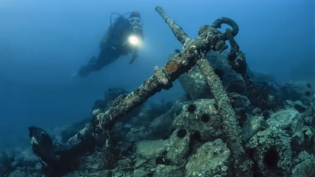 Descobertas no litoral do Brasil intrigam cientistas