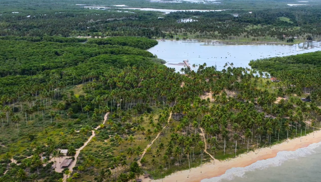 Baleias jubarte fazem cidade baiana bombar no turismo