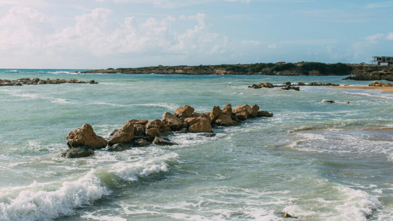 Imagem Item