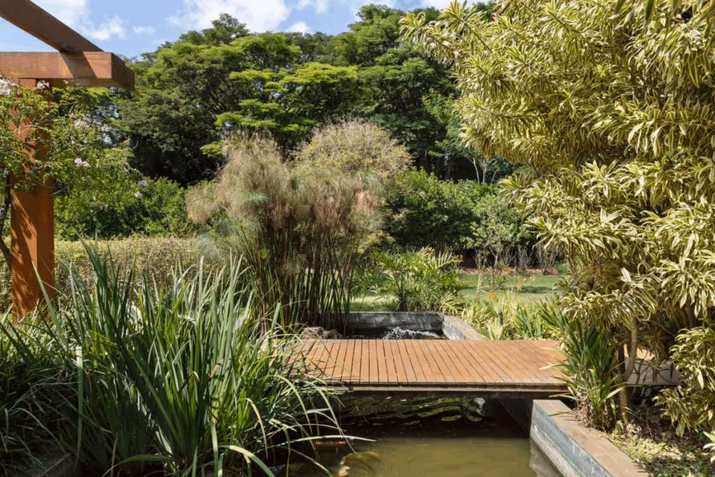 5 cuidados essenciais com as plantas no inverno