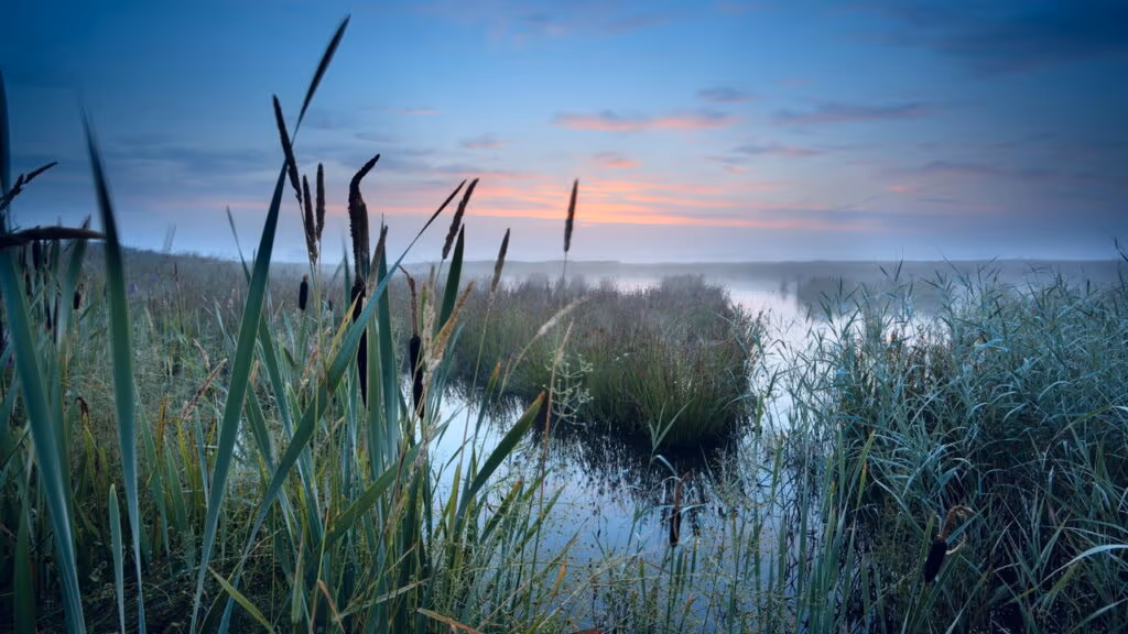 Predador do supercontinente Gondwana é descoberto