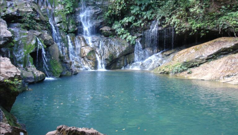 Imagem Item