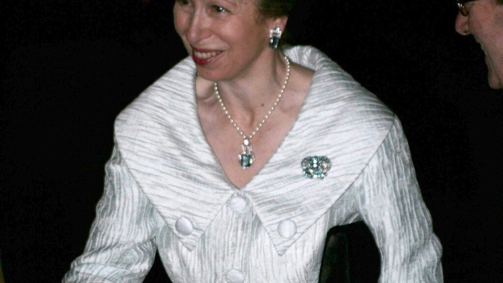 Acidente da Princesa Anne traz preocupação sobre sua saúde