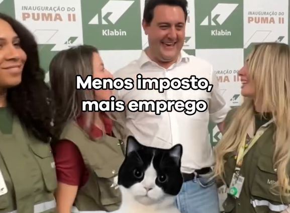 Crusoé: Ratinho Júnior também apela a gatinhos