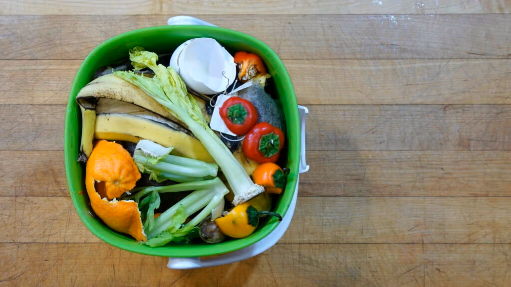 Receitas com sobras de legumes: ideias práticas para não desperdiçar