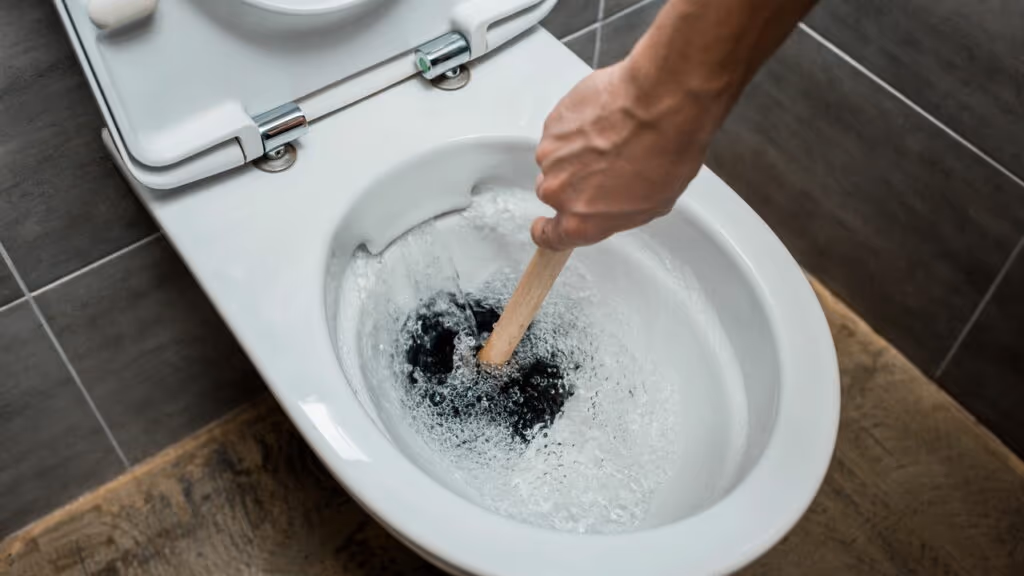 Por que eles recomendam jogar sal no vaso sanitário à noite?
