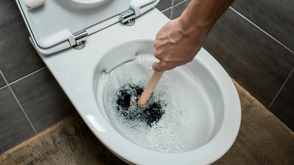 Por que eles recomendam jogar sal no vaso sanitário à noite?