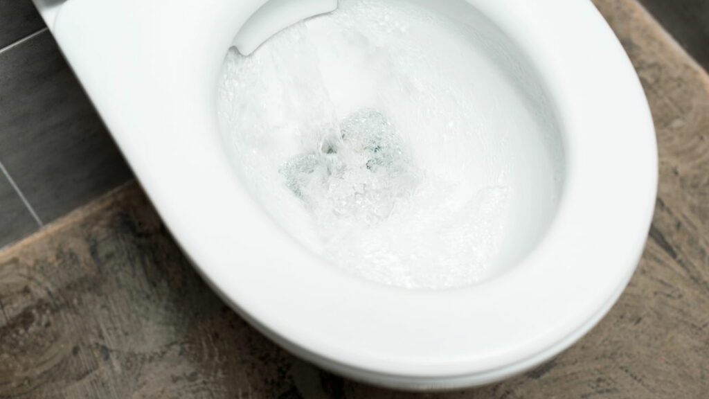 Por que eles recomendam jogar sal no vaso sanitário à noite?