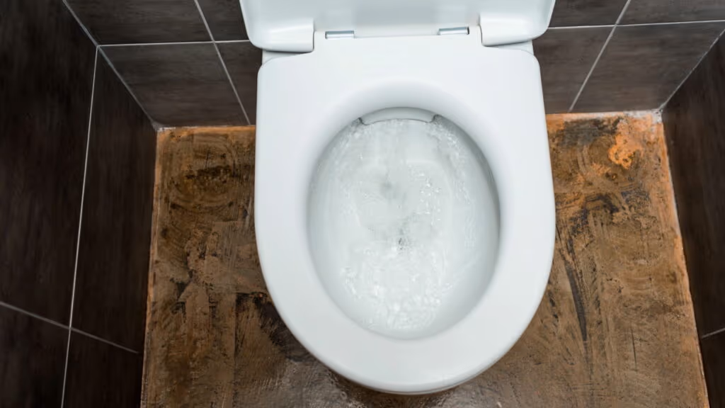 Com que frequência limpar o vaso sanitário para evitar germes e mau cheiro