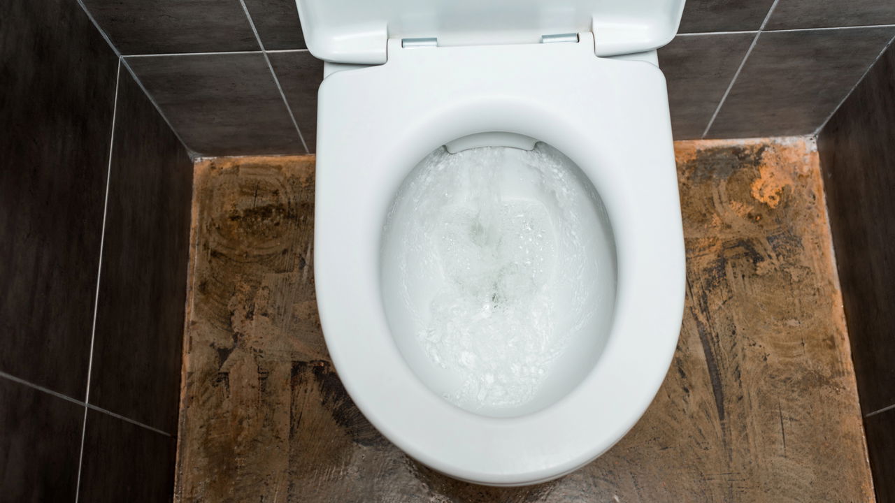 Com que frequência limpar o vaso sanitário para evitar germes e mau cheiro