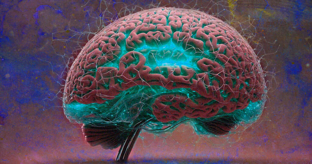 Suplemento de lítio pode revolucionar tratamento de Alzheimer