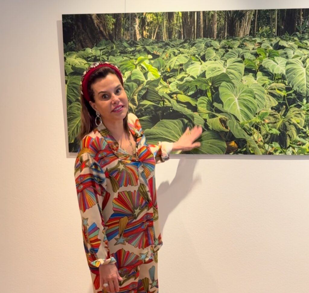 Dua Lipa e influenciadora brasileira agitam a web
