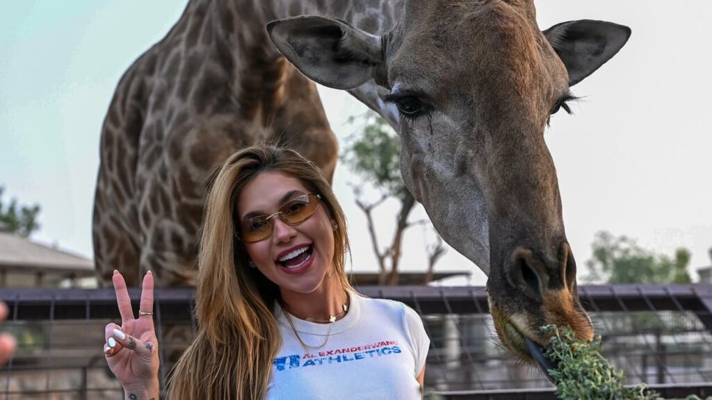 Virginia transforma viagem ao zoológico de Dubai em experiência