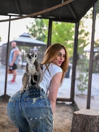 Virginia transforma viagem ao zoológico de Dubai em experiência