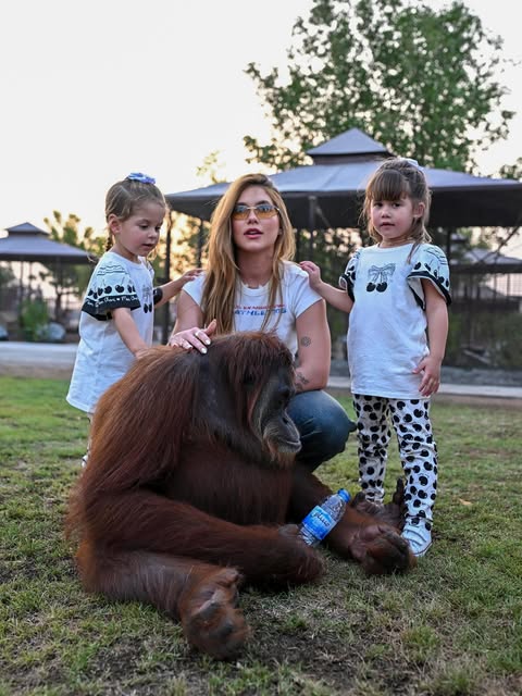 Virginia transforma viagem ao zoológico de Dubai em experiência