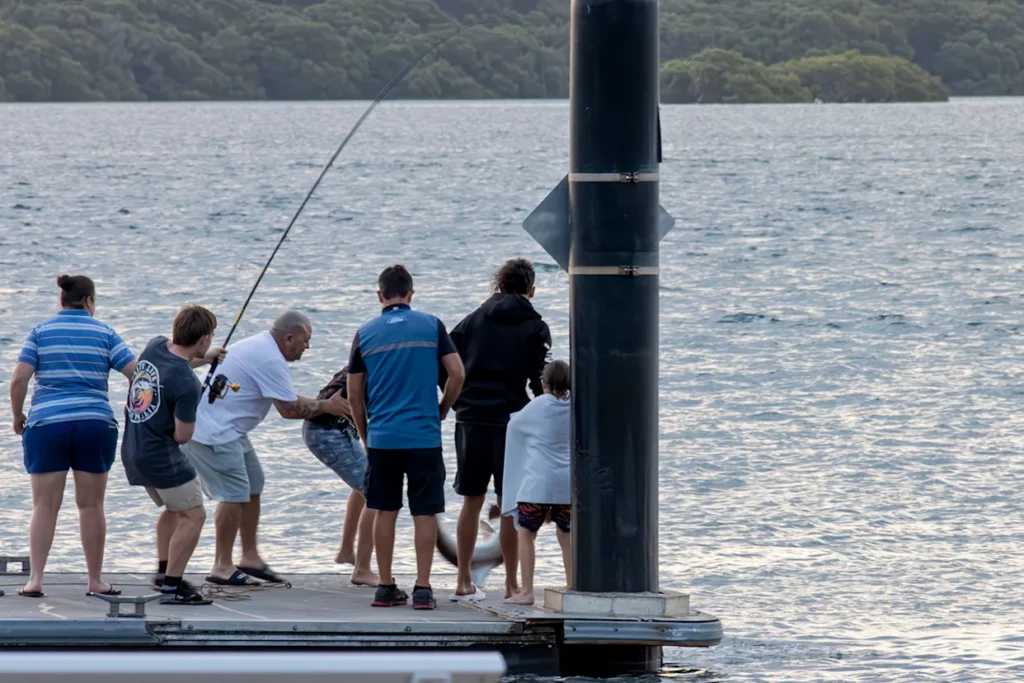 A incrível luta de 11 minutos entre um raro tubarão e pescadores australianos
