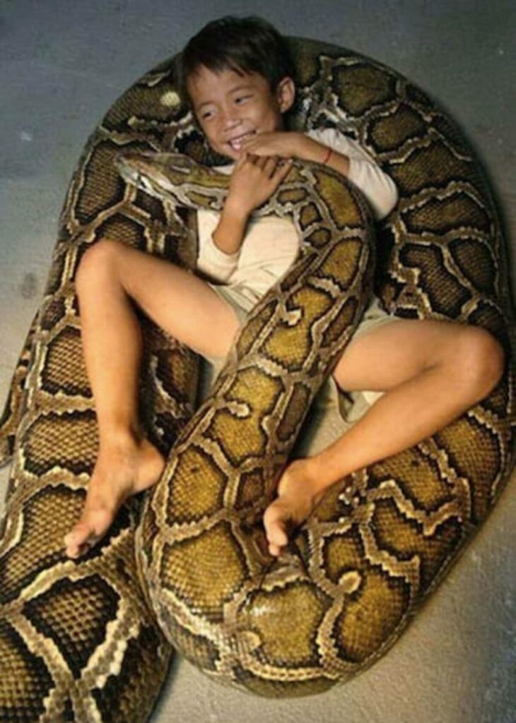 Amizade peculiar entre garoto que dormiu com python gigante por anos acaba mal