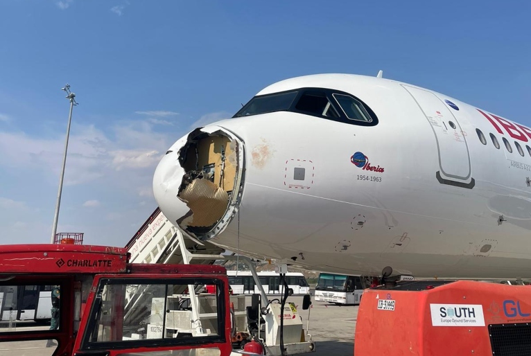 Avião acerta pássaro, perde o bico e precisa fazer pouso de emergência