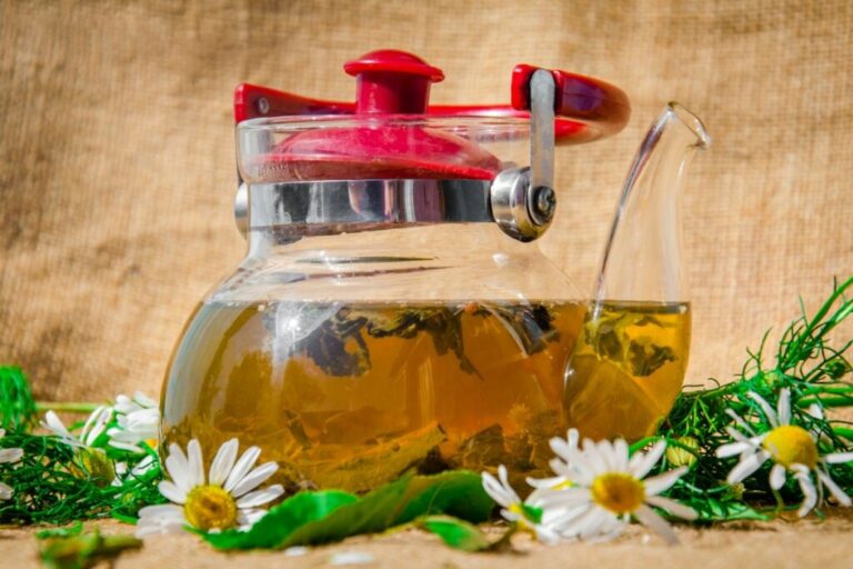 7 receitas de chá de cavalinha para limpar o organismo