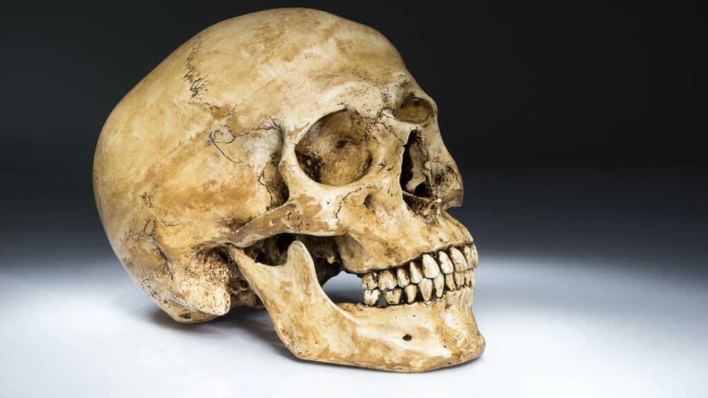 Cientistas sobre crânio de 300 mil anos encontrado no Grécia: “Não é humano!”