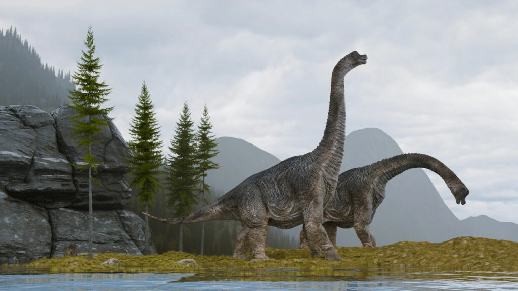 Dinossauros pescoçudos que habitavam região de SP foram exterminados por doença óssea