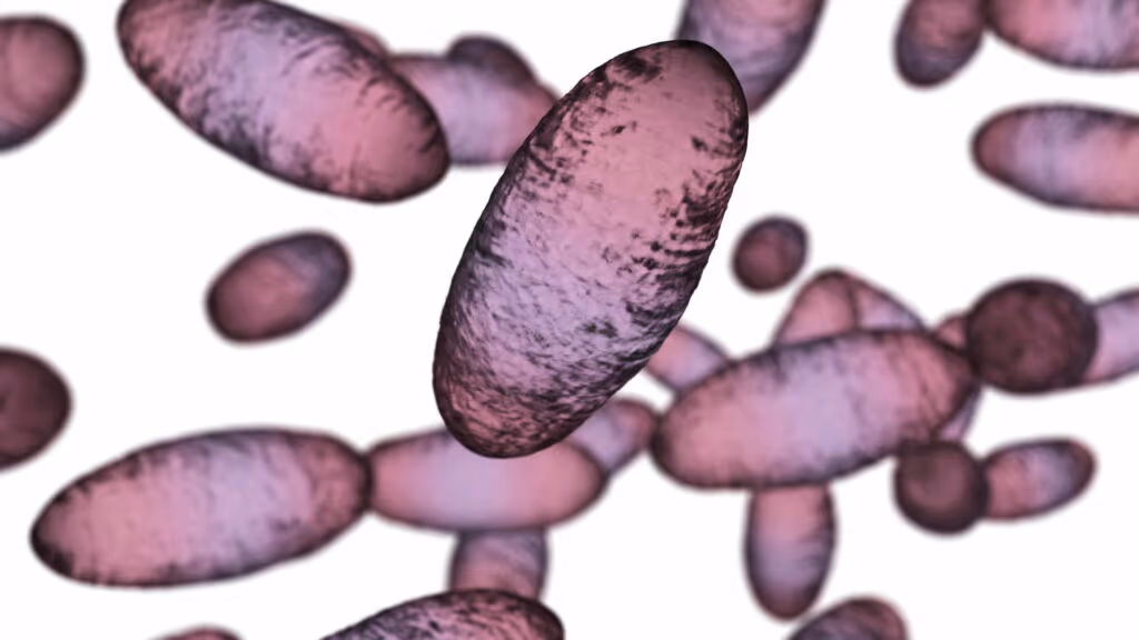 Essa é a origem da primeira pandemia da história da humanidade