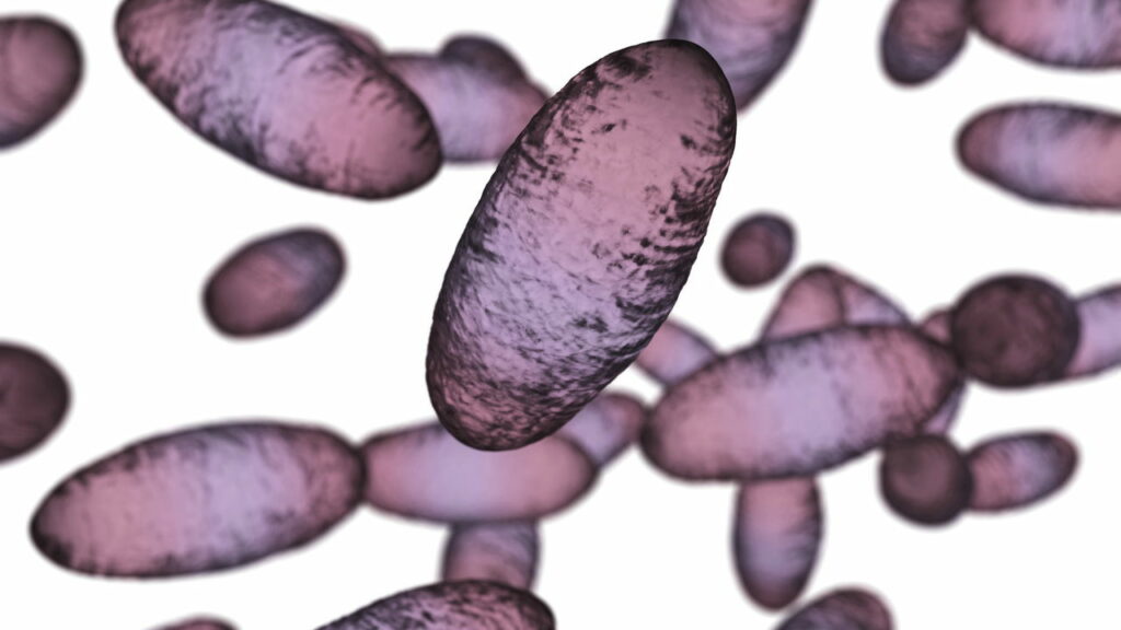 Essa é a origem da primeira pandemia da história da humanidade