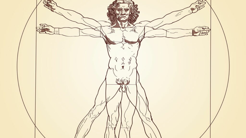 Essa é a parte do corpo humano que a evolução não explica até hoje