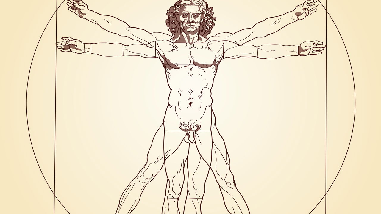 Essa é a parte do corpo humano que a evolução não explica até hoje