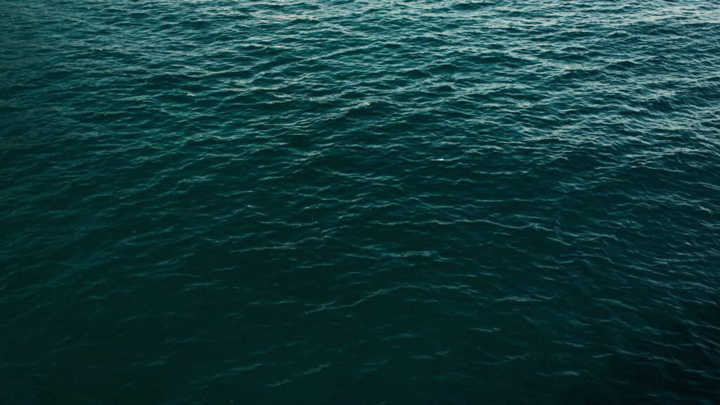 O organismo que dá uma respirada no planeta está morrendo e ninguém vê