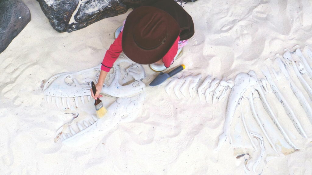 Fóssil de nova espécie de dinossauro deixa estudiosos de queixo caído