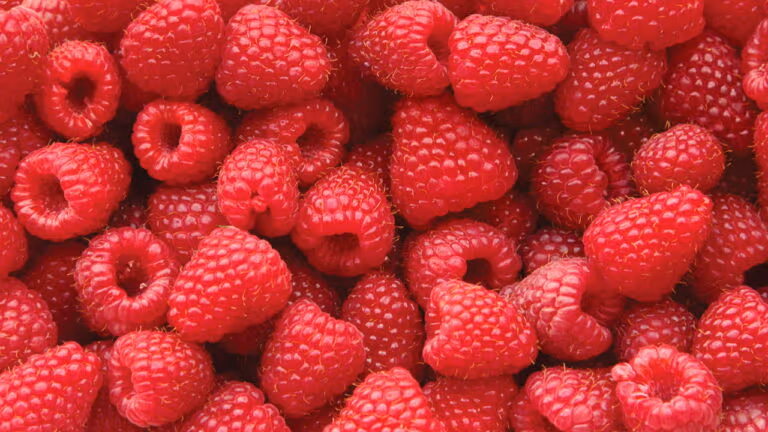 Imagem Item