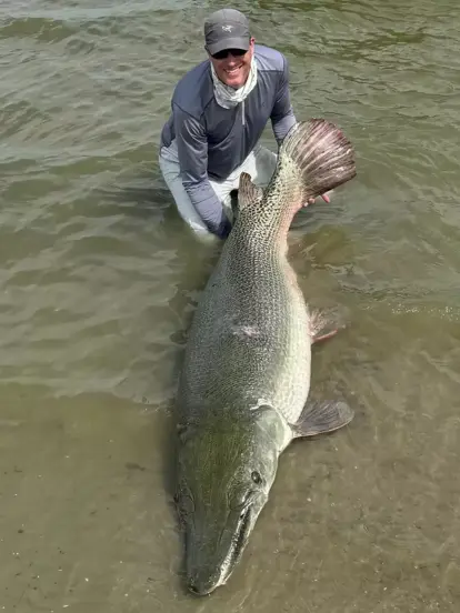 Homem pesca peixe-jacaré de 70 kg e 2,1 metros