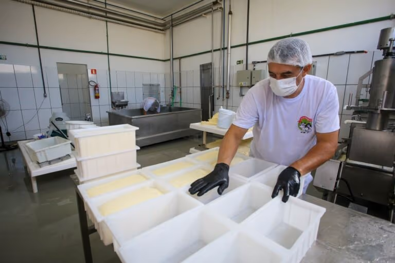 Governo de SP investe R$ 1,1 bilhão em inovação e sustentabilidade agrícola